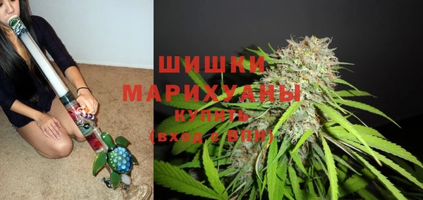 прущий лед Абаза